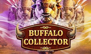 Jogo Buffalo Collector no Bet Nacional